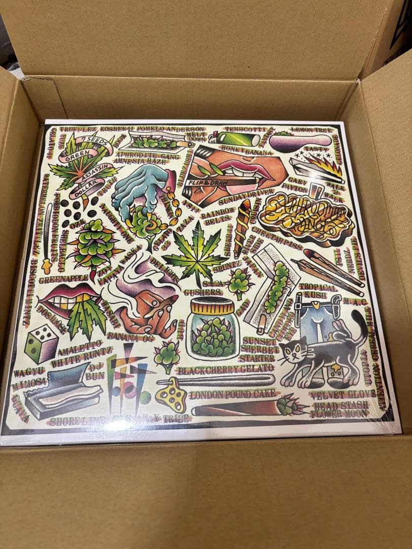 邦楽 FLIP&DRAW 7SEEDS Green Assassin Dollar