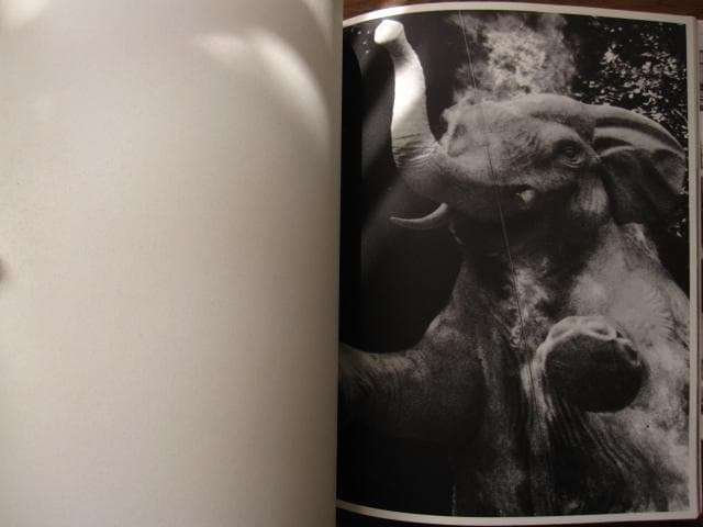 Bruce Weber　ブルース・ウェーバー