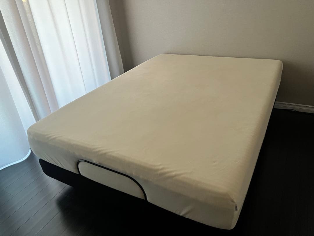 テンピュールZero-Gカーヴとオリジナルリュクス25セット② (要①もご購入)