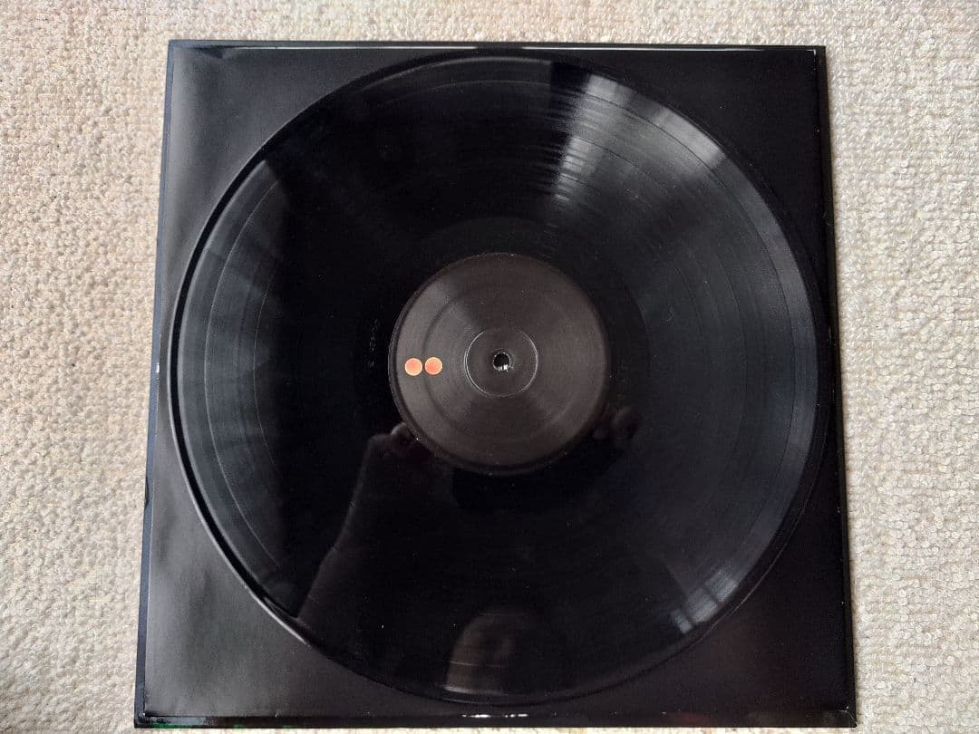 Jim O'Rourke ジム・オルーク Simple Songs LPレコード