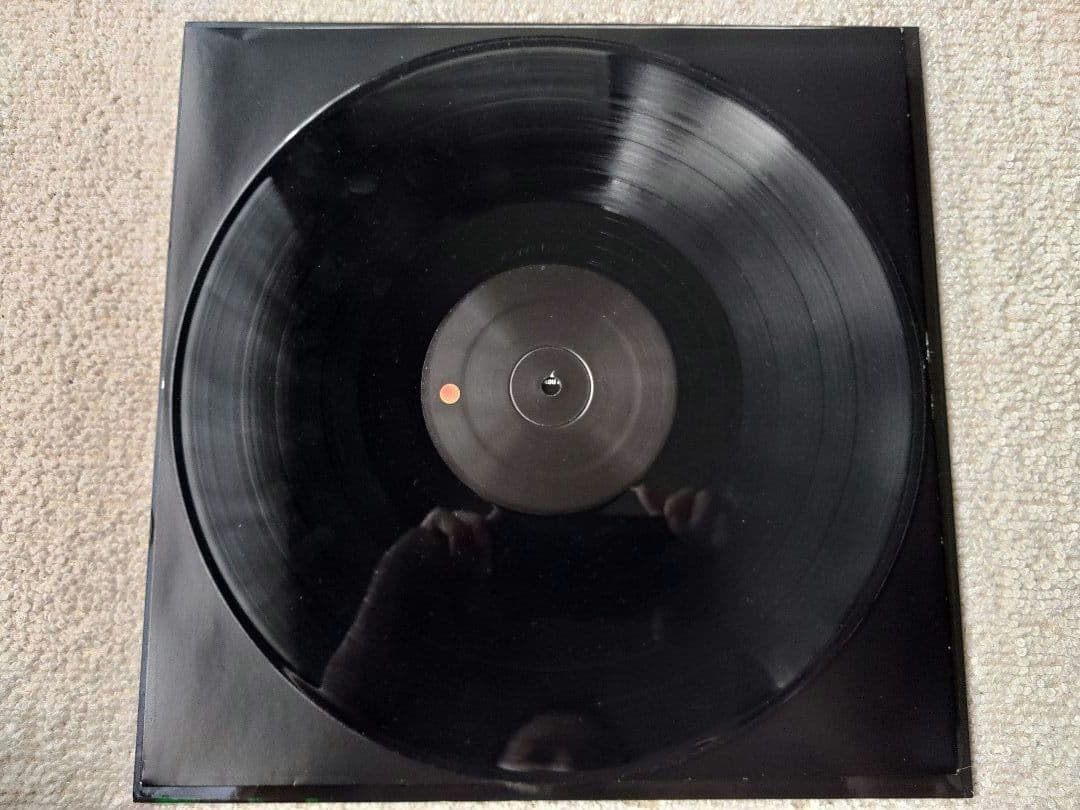 Jim O'Rourke ジム・オルーク Simple Songs LPレコード