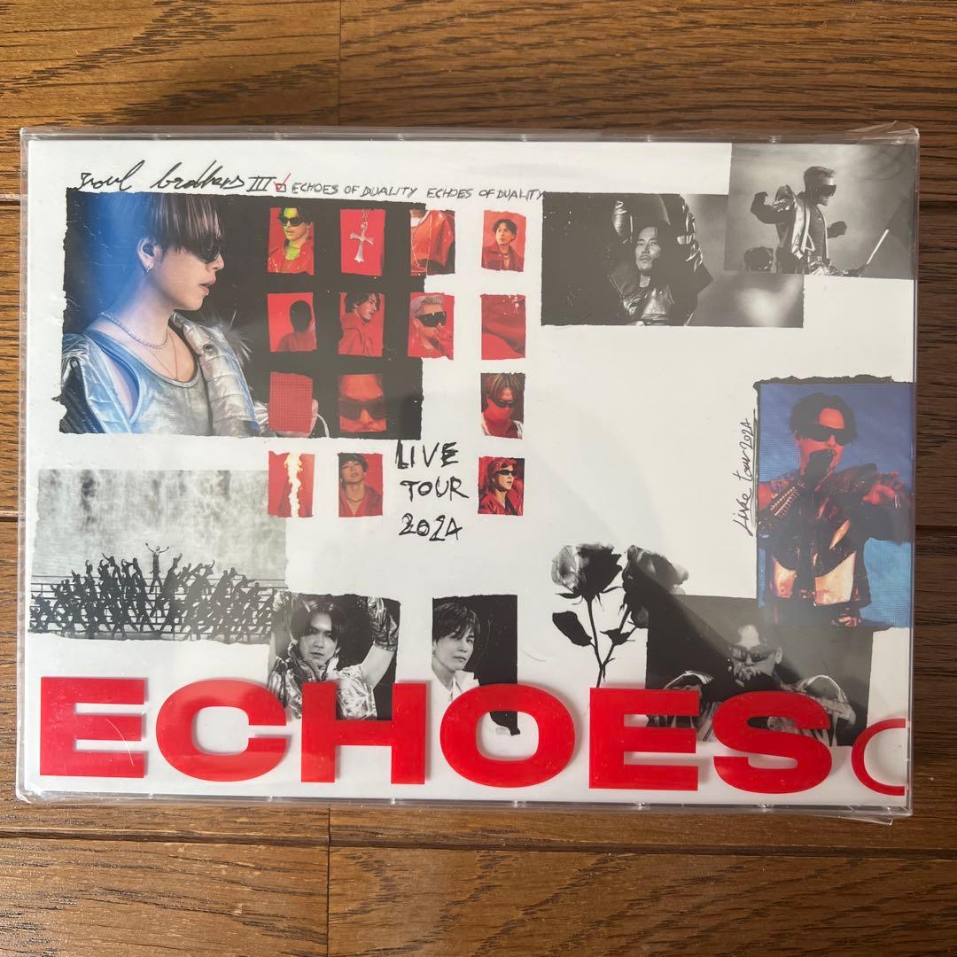 ミュージック ECHOES OF DUALITY DVD