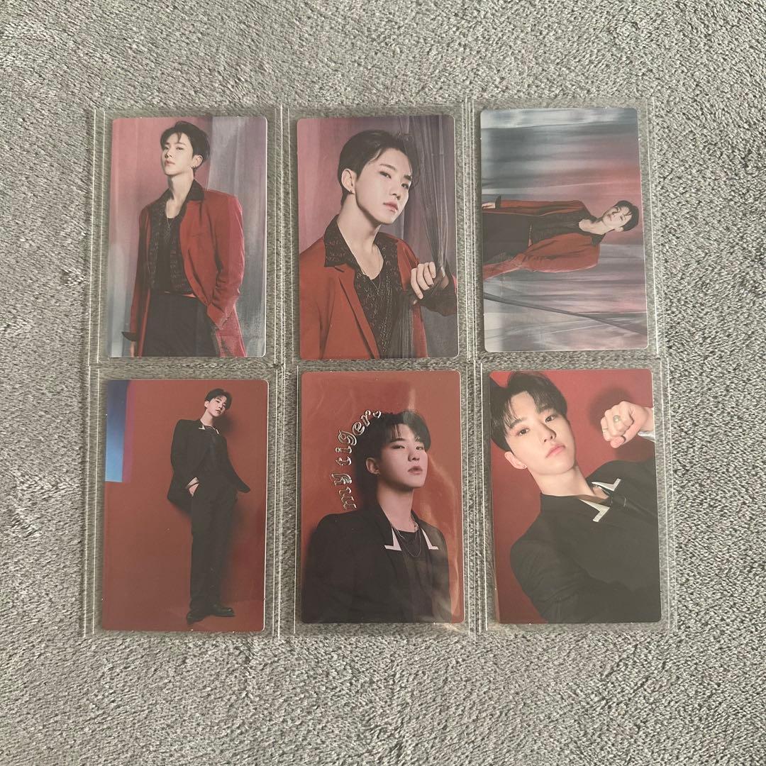 SEVENTEEN ホシ LIVE トレカ まとめ売り