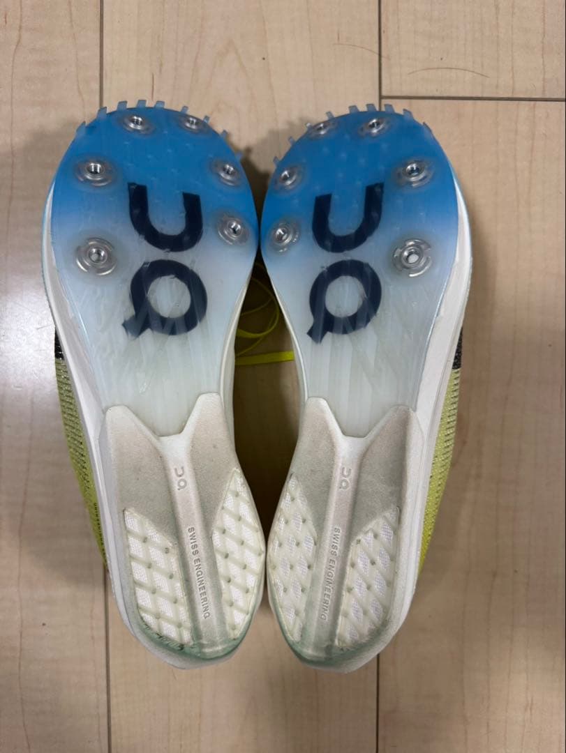 25㌢On Cloudspike citius2