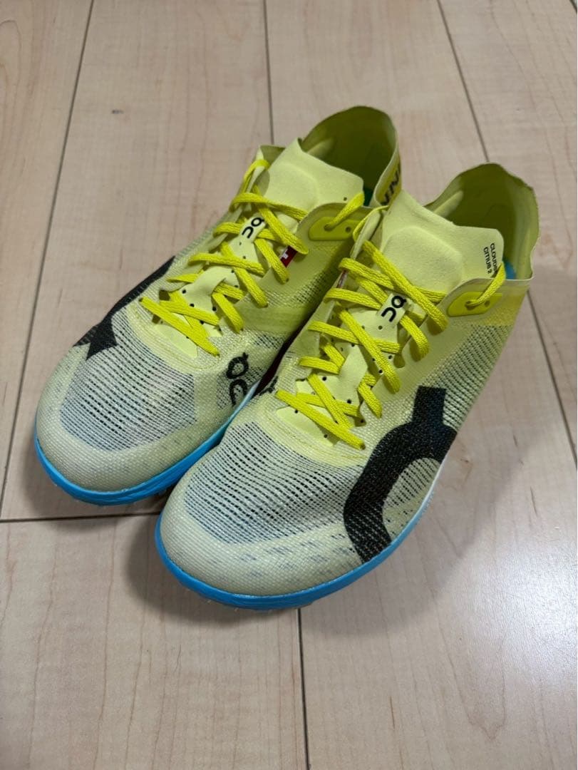 25㌢On Cloudspike citius2