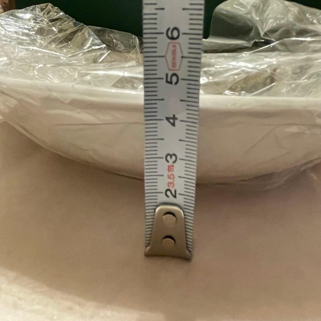 ノリタケ　ロイヤルオーチャード　カレーパスタプレートペア　スプーン付き