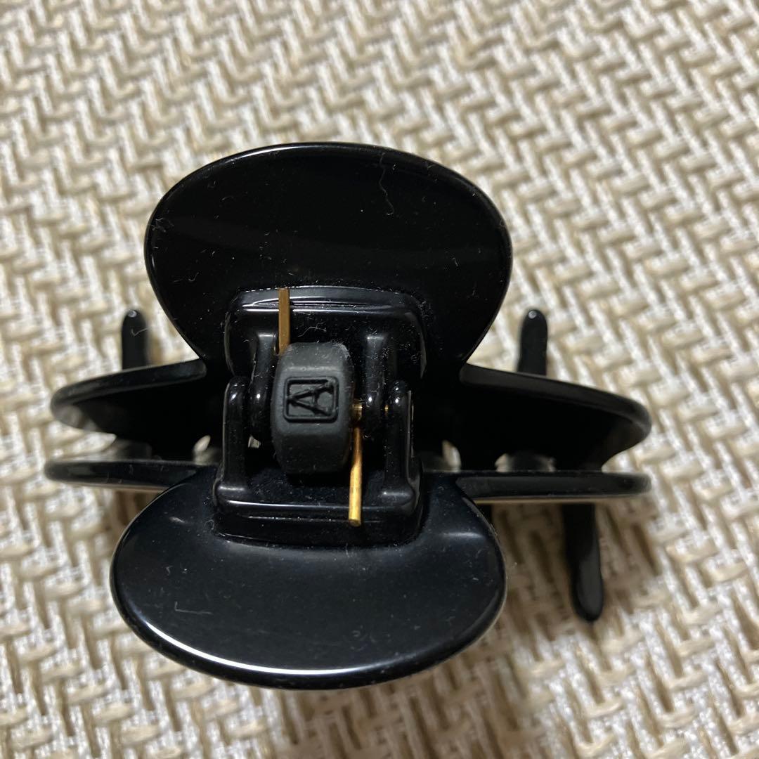 【専用】アレクサンドルドゥパリ　ヘアクリップ【LISERAI】S クリップ