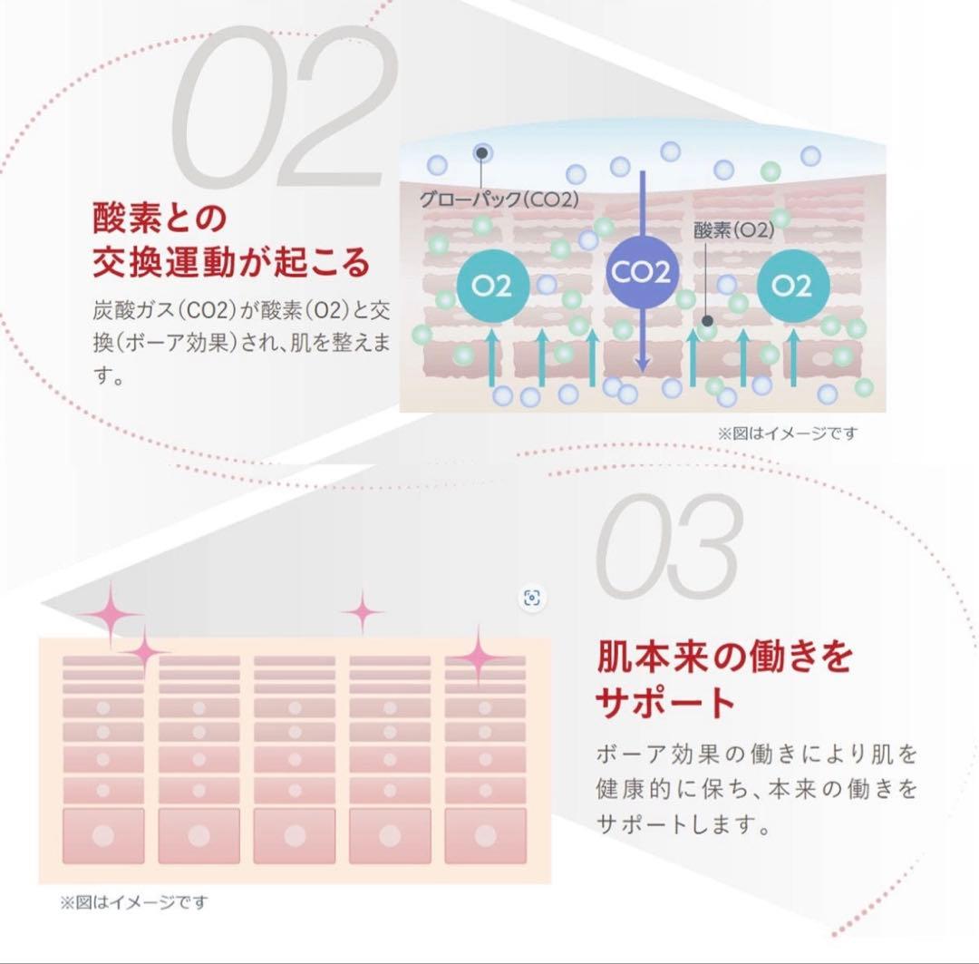 【正規品】エニシー　グローパック　10回分