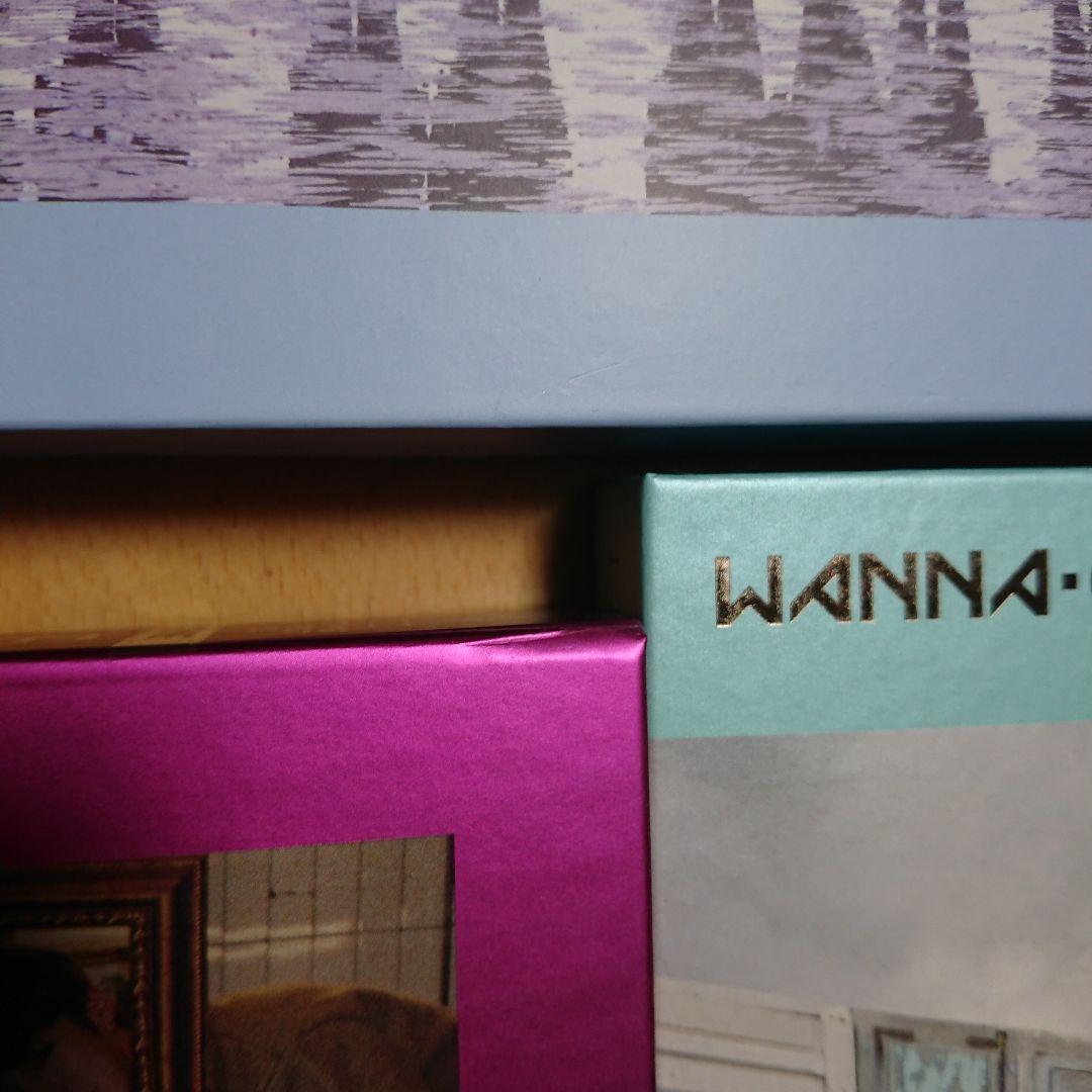 ワナワン        CD      DVDセット