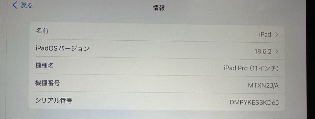 Apple iPad Pro 11インチ スペースグレー