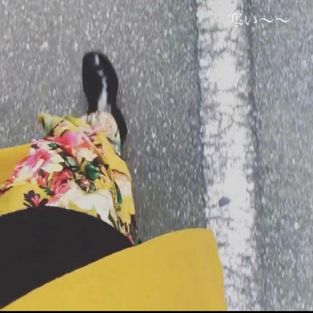 Dries van noten フロラー　花柄　キャミソールワンピース 名作