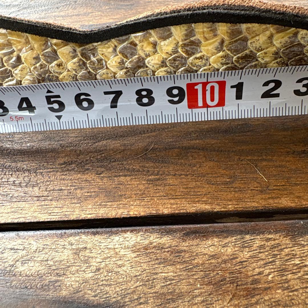 ガラガラ蛇のハットベルト、本物、蛇の剥製、蛇革