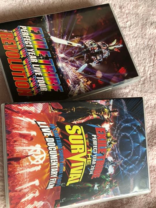 EXILE TRIBE/EXILE TRIBE PERFECT YEAR LI…