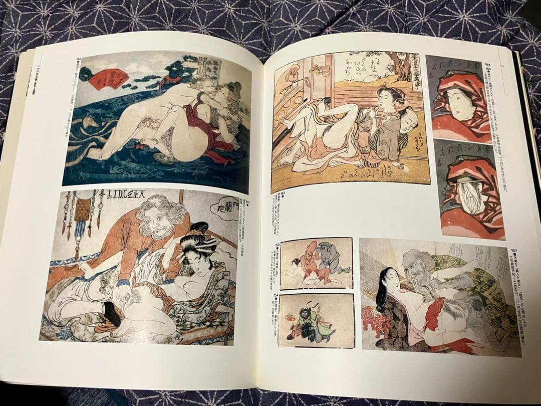 春画　まとめ売り 江戸文学 全24巻セット