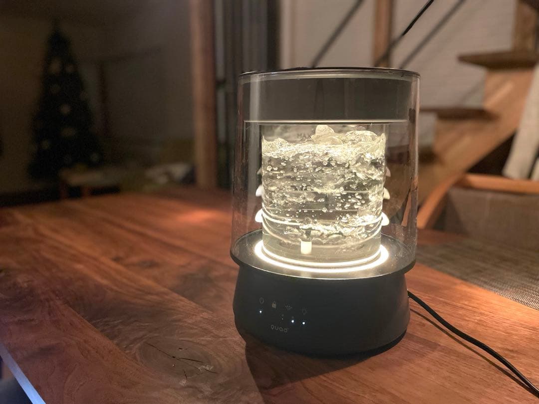 「新品未開封」QUADS GLASS クワッズ ガラス 加湿器 本田翼