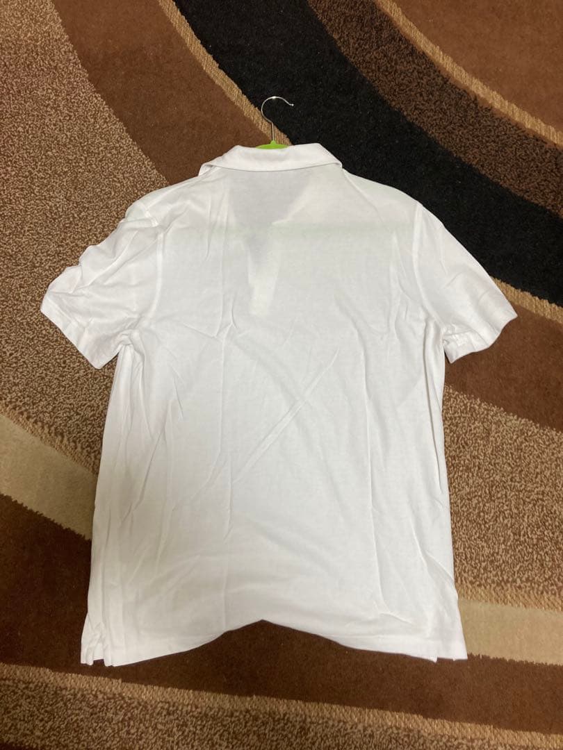 纏めて3枚 コルネリアーニ ポロシャツ 50 美品