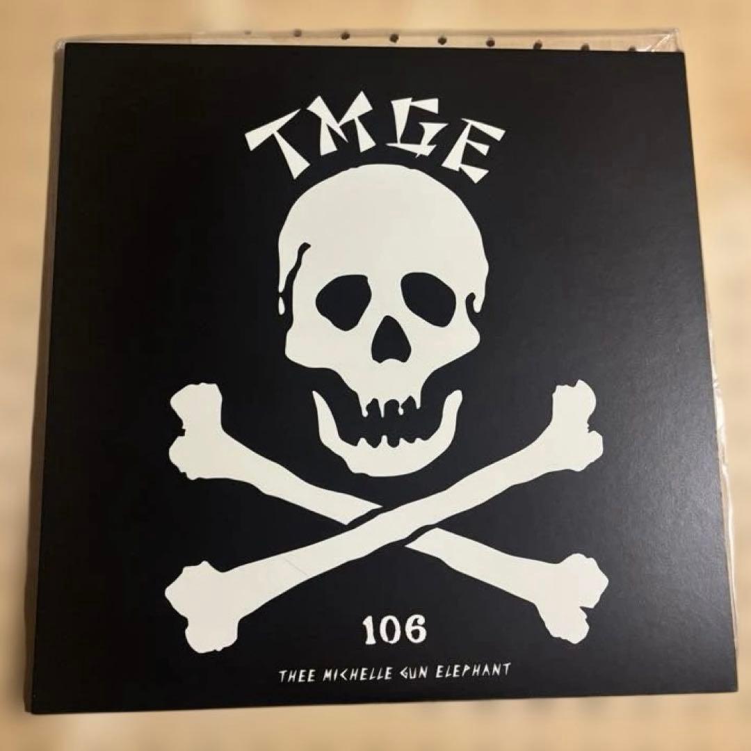 ミッシェルガンエレファント　12inch レコード2枚組　TMGE106