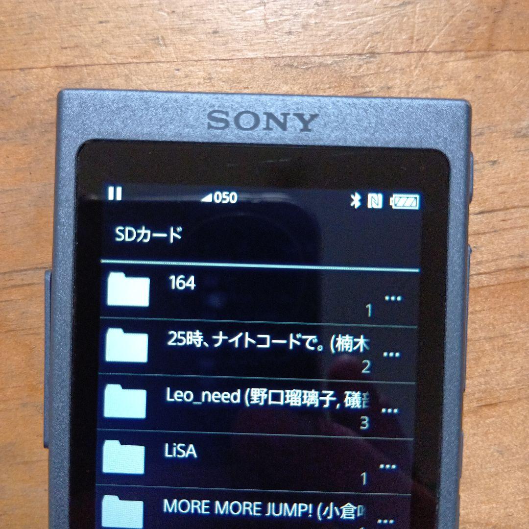 p*o様 SONYウォークマンNW-A45 16GB