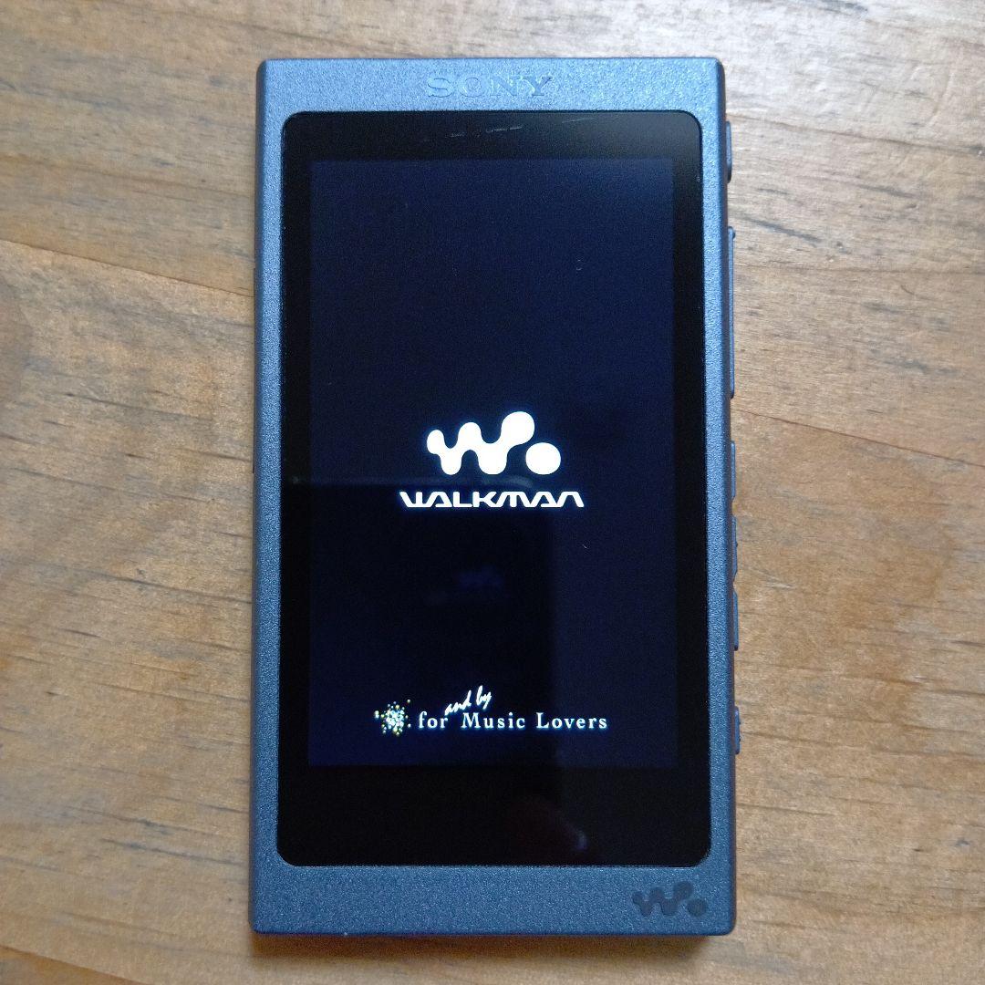 p*o様 SONYウォークマンNW-A45 16GB