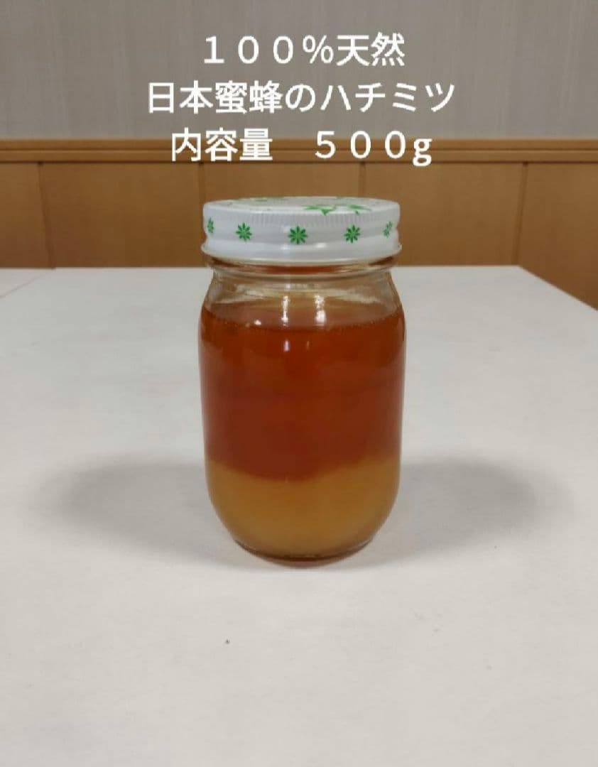 日本蜜蜂の天然ハチミツ　無添加　非加熱　内容量５００g × 3本