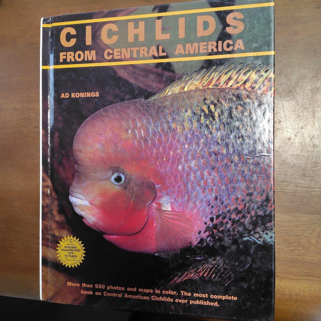Cichlids from Central America　熱帯魚