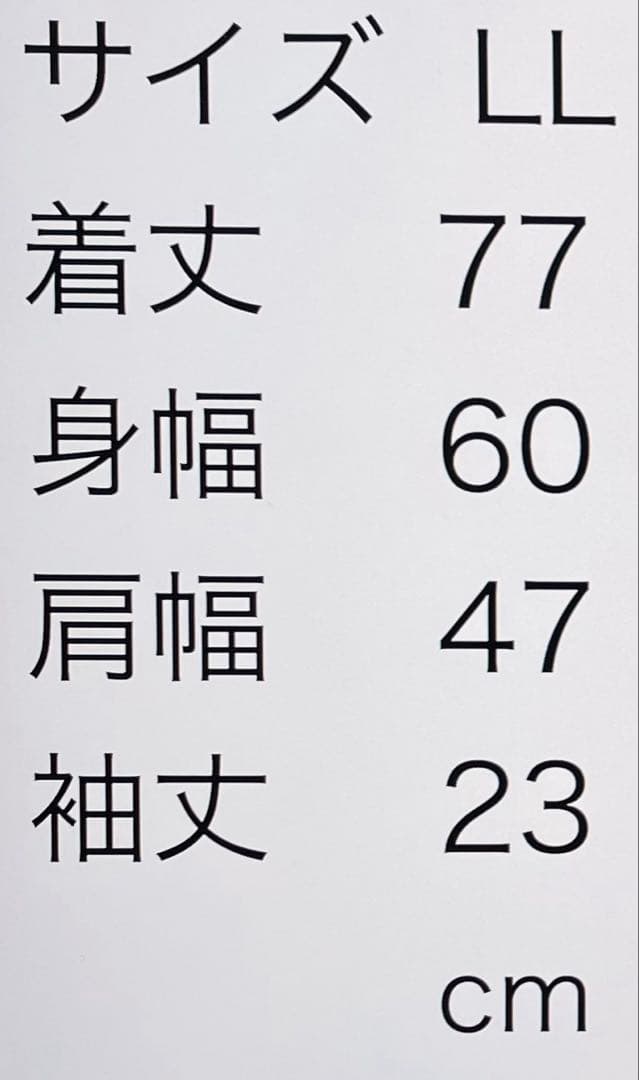 SINACOVA シナコバ　刺繍　ポロシャツ