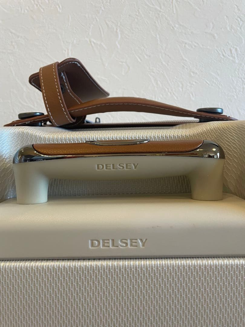 ⭐️極美品！デルセー　DELSEY スーツケース　キャリーケース　M