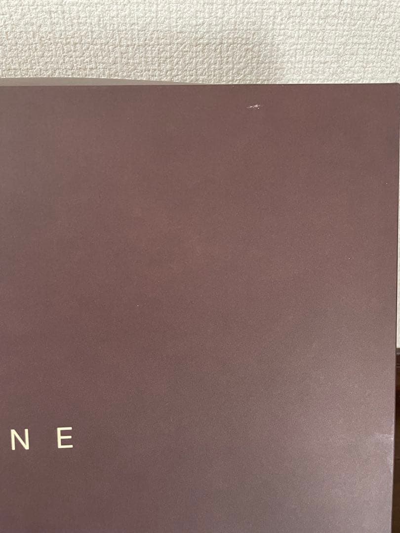 CELINE セリーヌ　シルク毛布　ブランケット