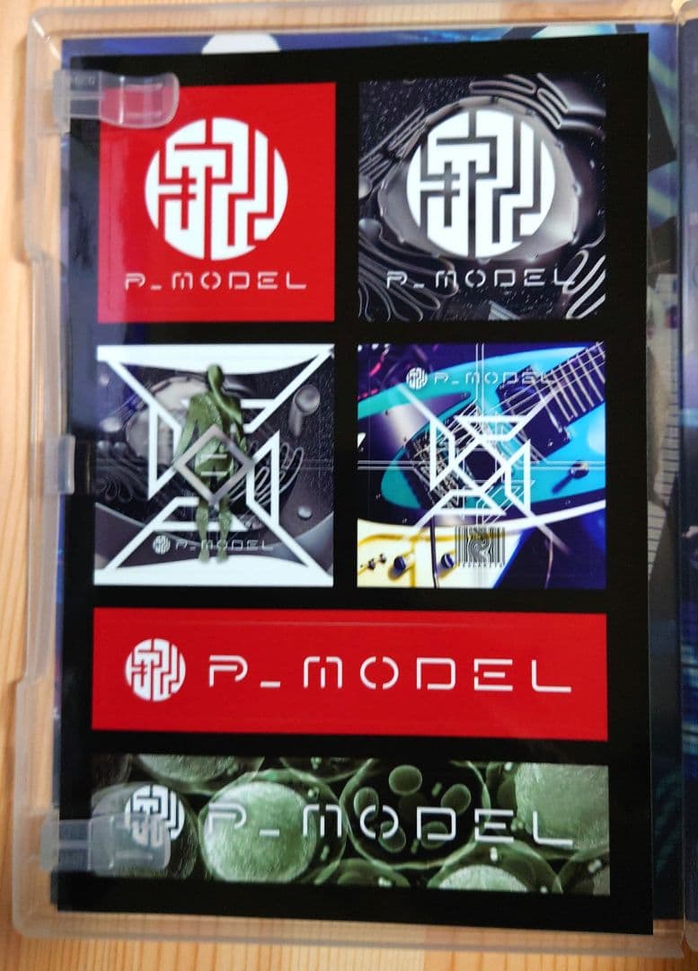 P-MODEL／核P-MODEL DVD 5作品 三界の人体地図 回=回 他