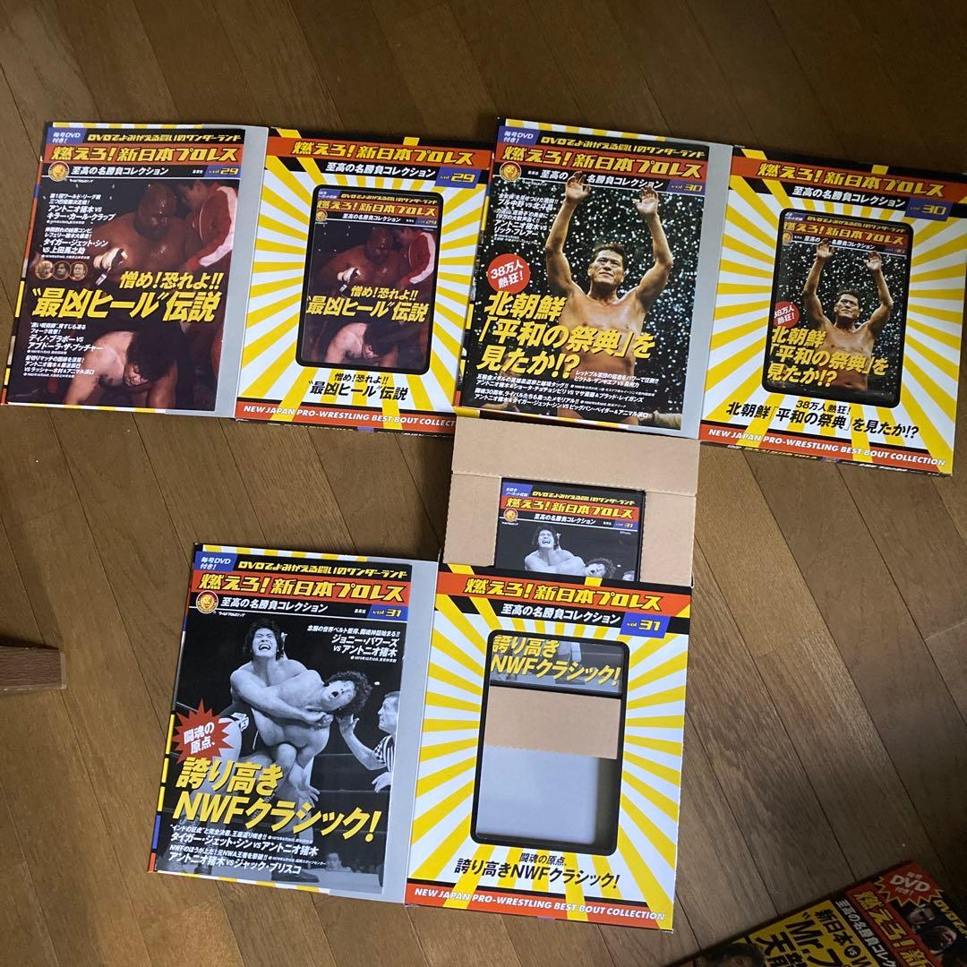 燃えろ新日本プロレス