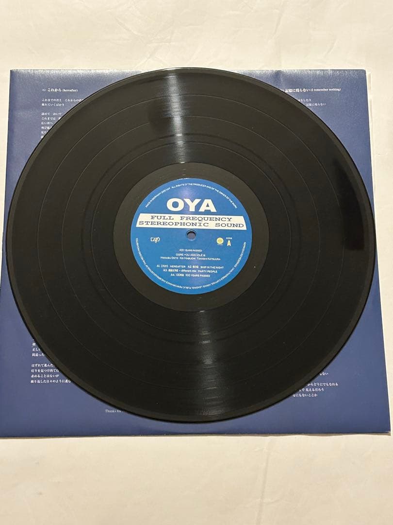 美品激レア廃盤LP Ogre You Asshole 100年後 オウガユー