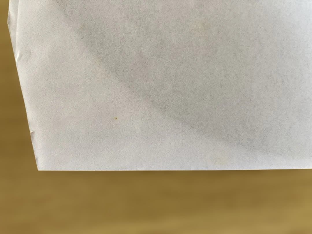 ajapai feat. 岡村靖幸 テストプレス DAI-SHA-RING