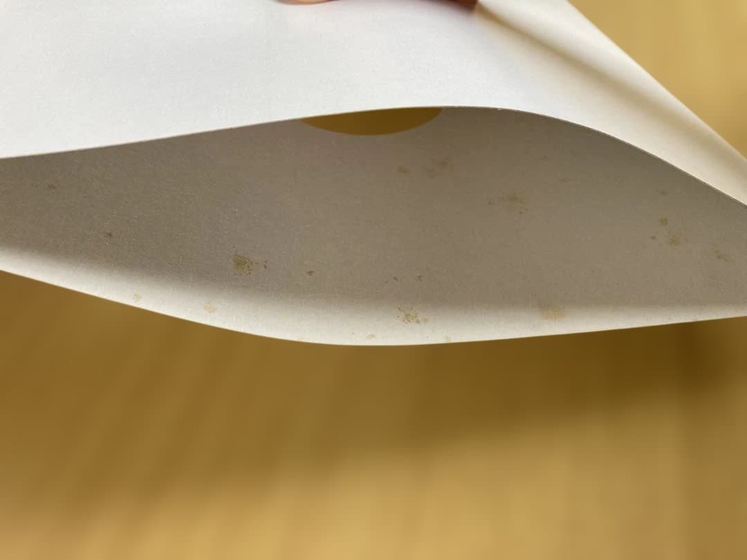 ajapai feat. 岡村靖幸 テストプレス DAI-SHA-RING