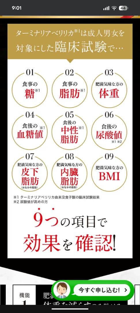 ターミナリアファースト ダイエットサプリ×4