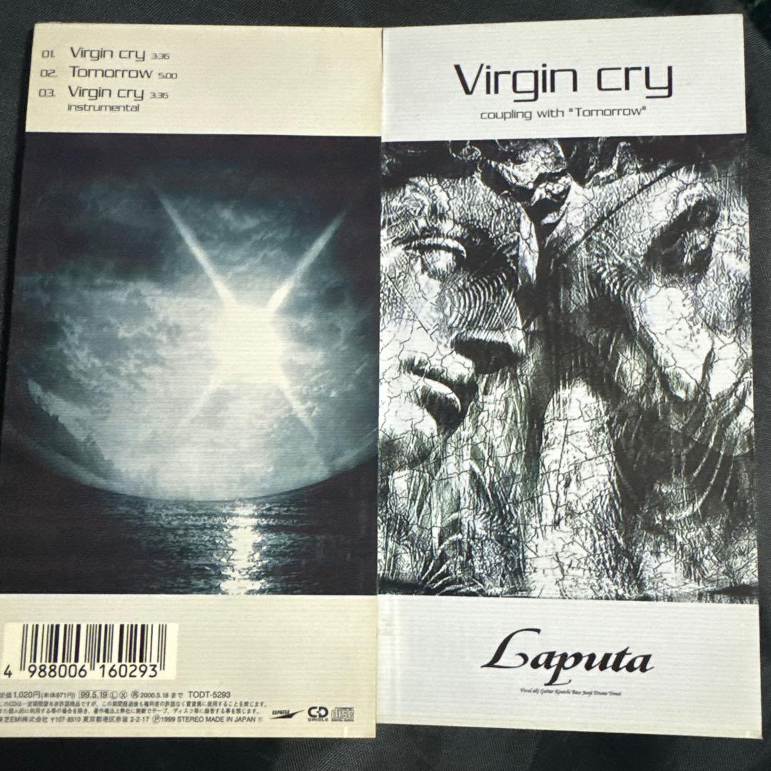 ラピュータ Laputa シングル 11枚セット