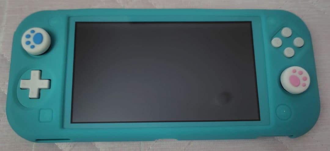 任天堂スイッチ本体のみ