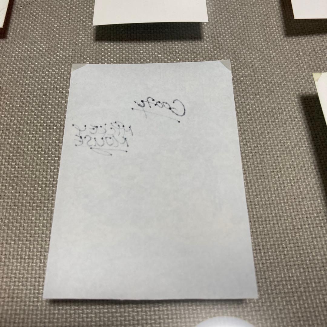 ディズニー　キャスト限定　レア　ミッキー　サイン