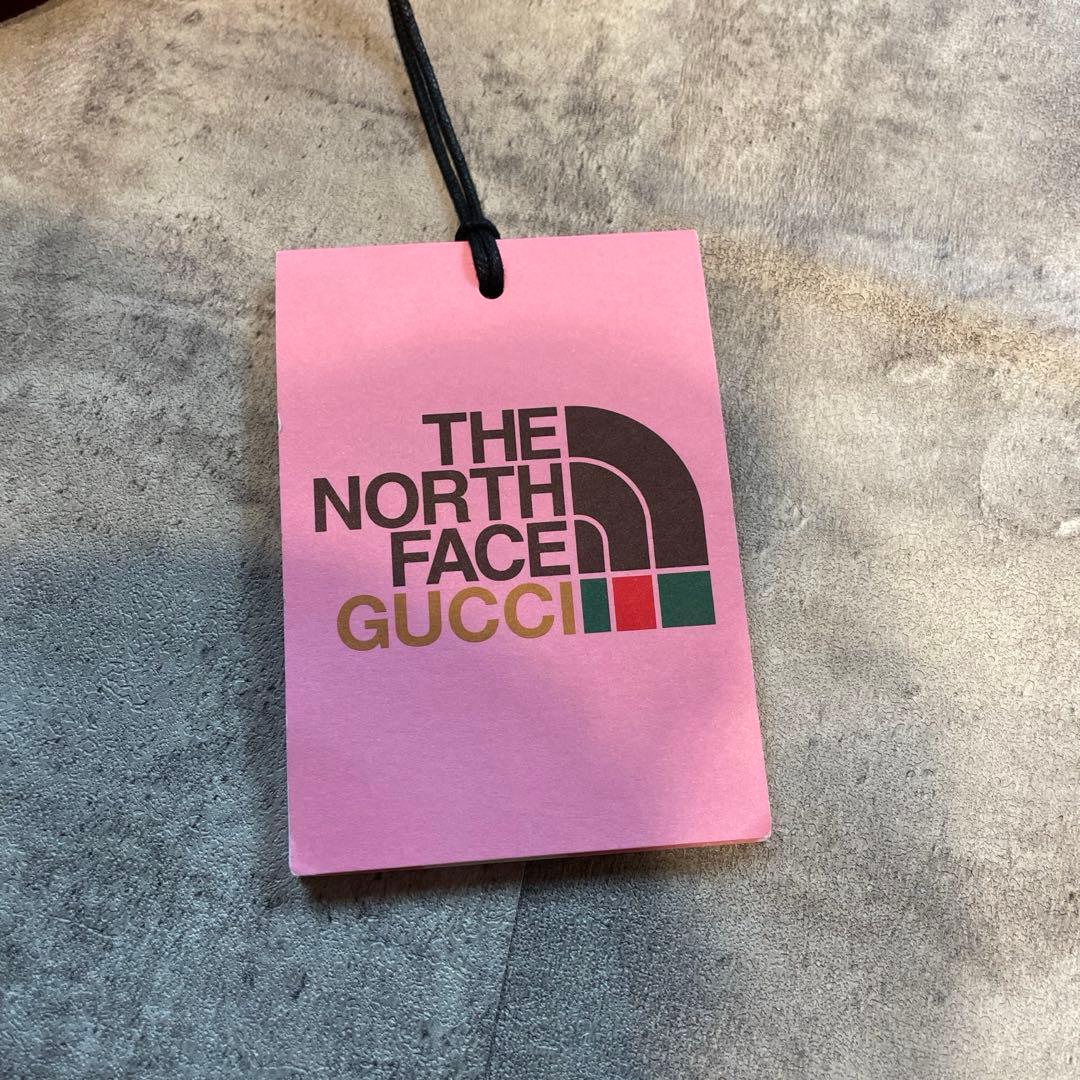 GUCCI × THE NORTH FACE コラボ ナイロンパンツ ピンク