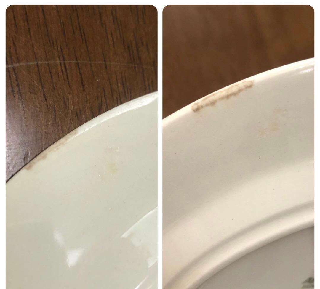 toto様　まとめ　ロスマリン16cm、カトリッリ17cm