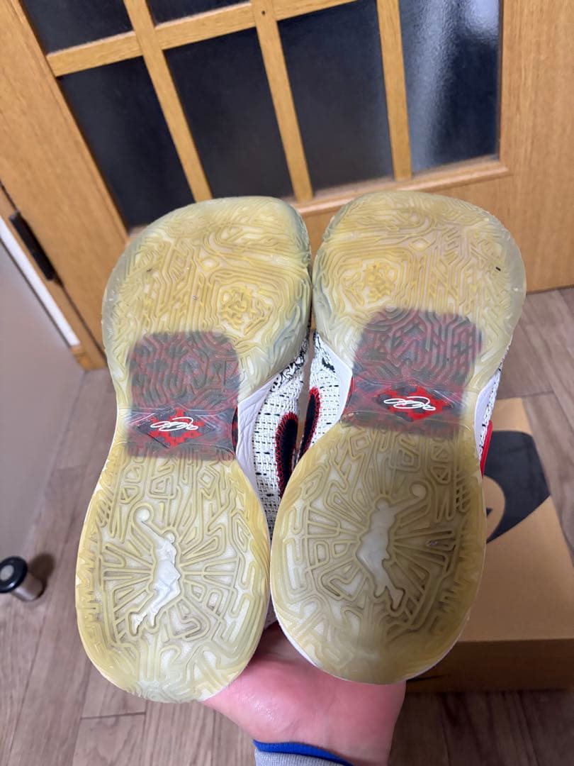 NIKE レブロン20 バッシュ