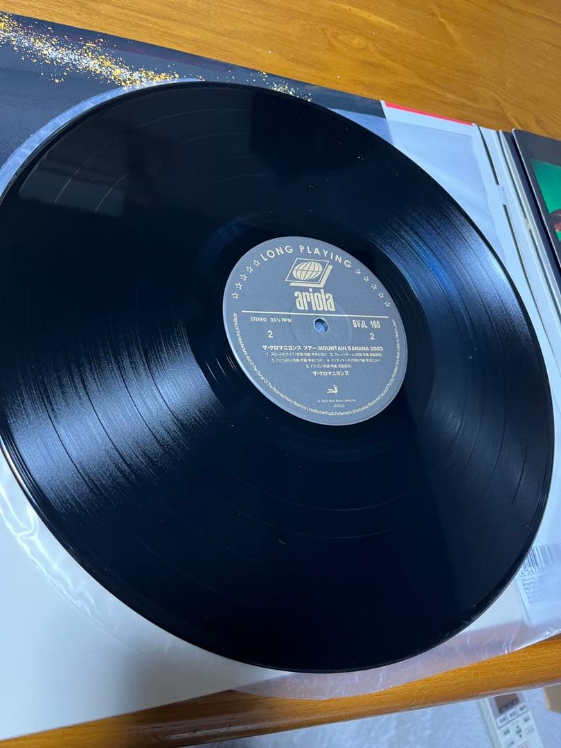 ザ・クロマニヨンズツアー MOUNTAIN BANANA 2023 レコード