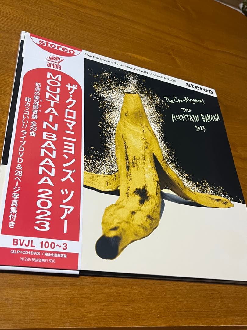 ザ・クロマニヨンズツアー MOUNTAIN BANANA 2023 レコード