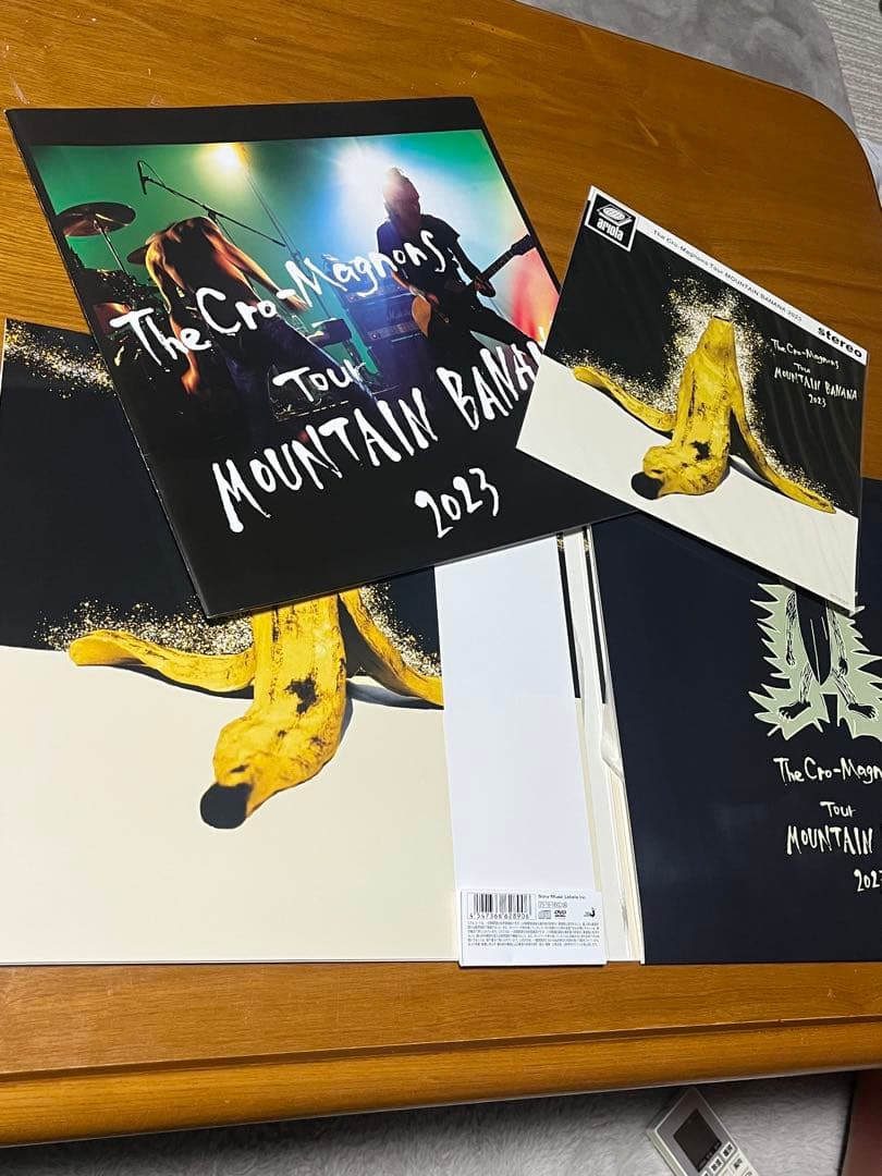 ザ・クロマニヨンズツアー MOUNTAIN BANANA 2023 レコード