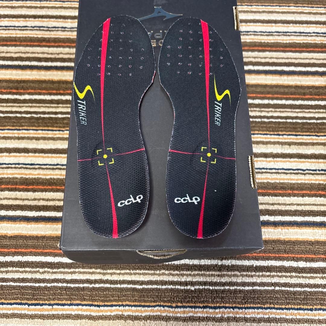 モレリア2Japan クロスステッチ