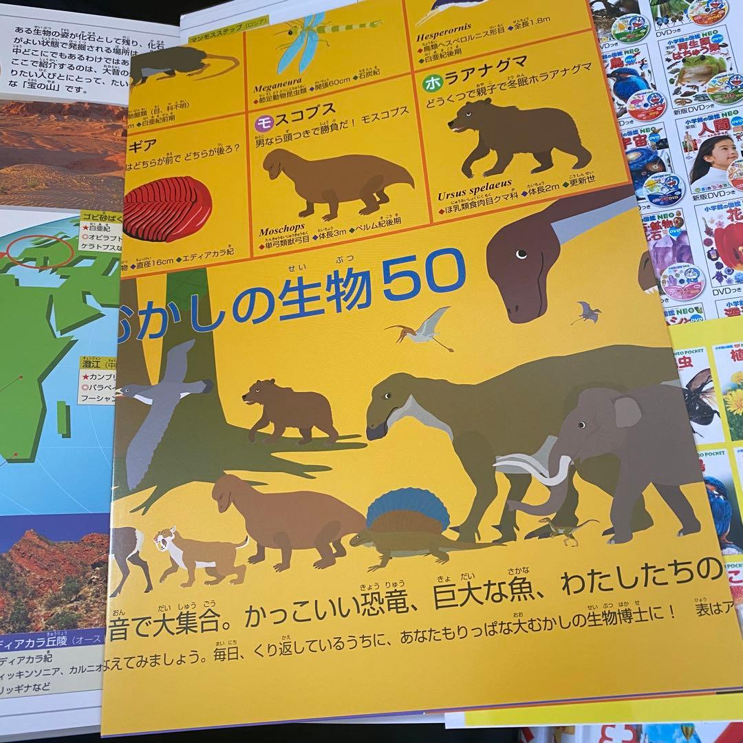 【計23冊セット】小学館の図鑑neo くらべる図鑑 DVD 付録付き