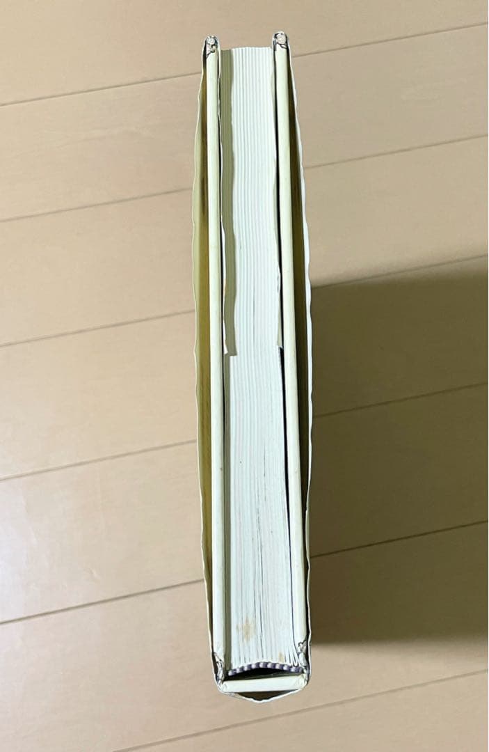 【レア品】愛蔵版 のばらの村のものがたり　全８話