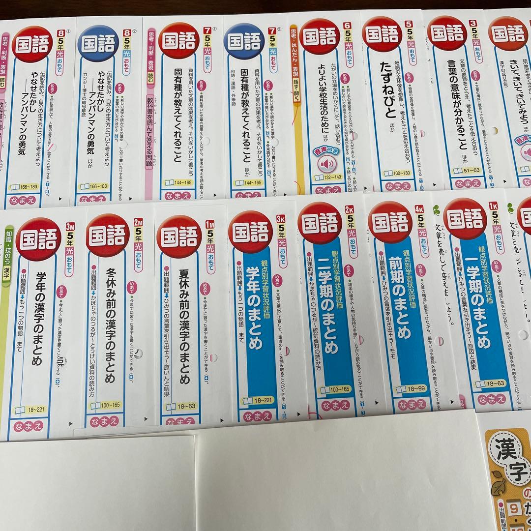 【最新版】小学5年　国語　カラーテスト　令和6年度　１年分