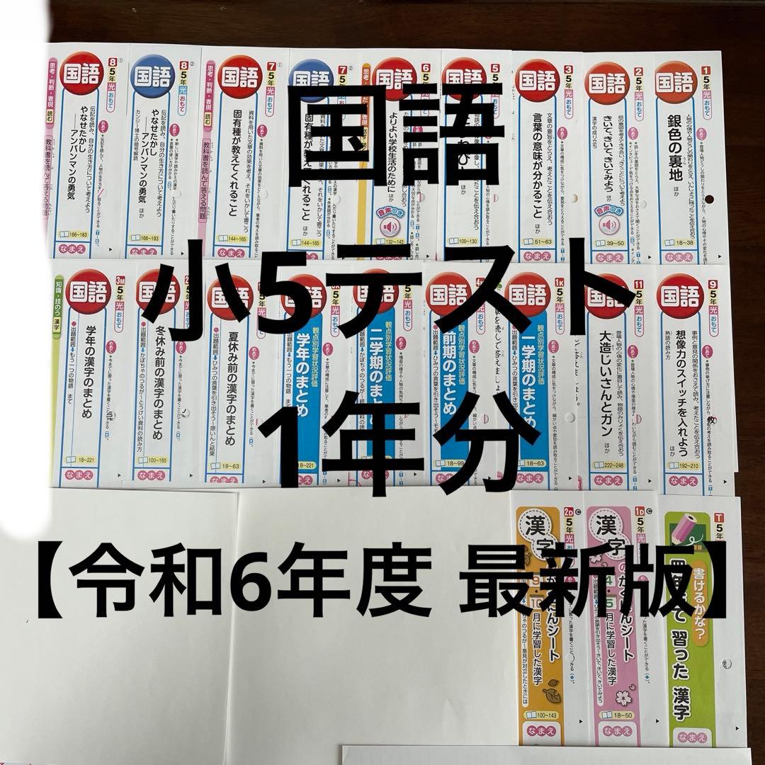 【最新版】小学5年　国語　カラーテスト　令和6年度　１年分