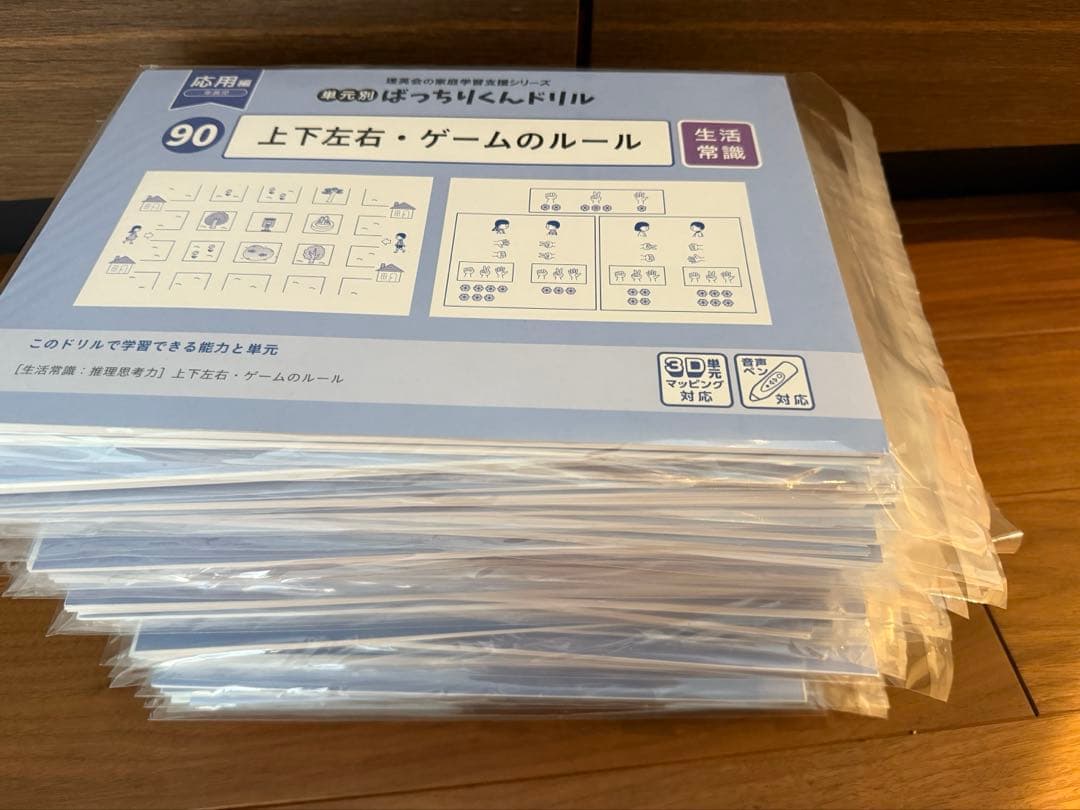 理英会　ばっちりくんドリル　応用編　裁断済　45冊セット