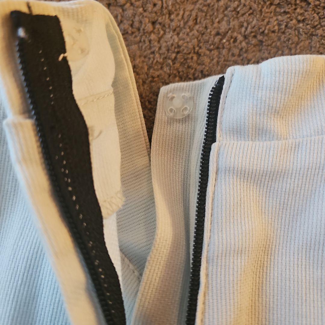 東京ディズニーリゾート　アナ　ドレス